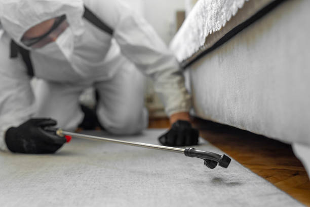 Professional Bed Bug Control technician working in Plymouth, NC