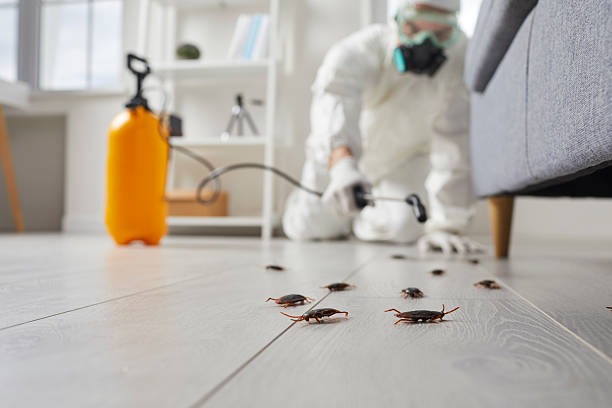 Trusted Fumigation Services service in Plymouth, NC - Nex Pest Control