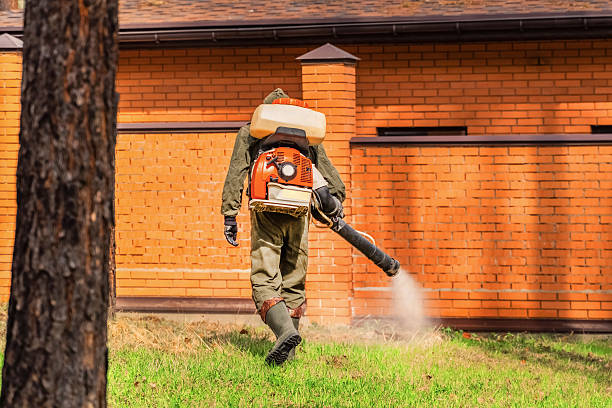 Trusted Emergency Pest Control service in Plymouth, NC - Nex Pest Control